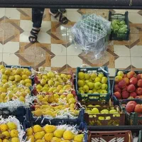 آینه|آینه|نجف‌آباد, ۲۲ بهمن|دیوار