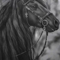 سفارش نقاشی سیاه قلم