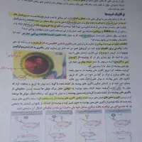 جزوه های زیست دوازدهم استاد حنیف عظیمی