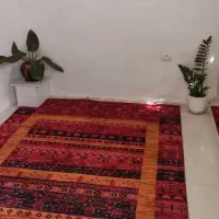 گبهای سنتی در رنگها وسایزهای متنوع|گلیم، جاجیم، گبه|تهران, فلسطین (میدان انقلاب)|دیوار