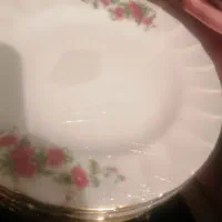 ظروف پذیرایی|ظروف سرو و پذیرایی|شهرکرد, |دیوار