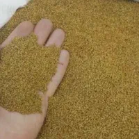 مخصوص منطقه گرم سیر و کشاورزان حرفه ی|خدمات باغبانی و درختکاری|دوگنبدان, |دیوار