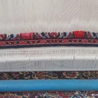 بافنده قالی|استخدام هنری و رسانه|سنندج, |دیوار