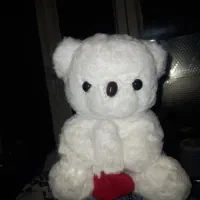 مخصوص ولنتاین