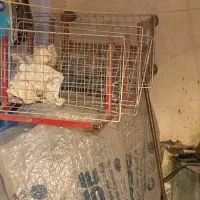 استند قیمت مناسب