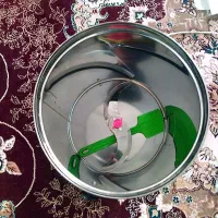 تلویزیون 32اینچ و میز تلویزیون و سبزی خردکن|تلویزیون و پروژکتور|دیلم, |دیوار