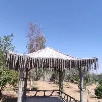 سیمانکاری آلاچیق آبنما باربیکیو و تندیس‌های برجسته|خدمات پیشه و مهارت|دهلران, |دیوار