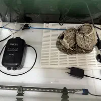 آکواریوم شیشه خم با تمام تجهیزات|ماهی|کردکوی, |دیوار