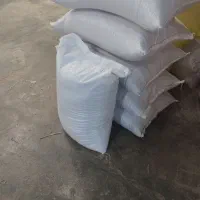 بذر شالی امراللهی وهاشمی