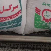 برنج ایرانی اعلاء