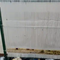 یک عدد تابلو فرش دست بافت نیمه کار