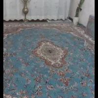 یک فرش ۹متری درحدنو|فرش|اسفراین, |دیوار