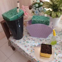 گل طبیعی|گل و گیاه طبیعی|اصفهان, جلفا|دیوار