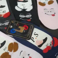 پاپوش و کره بدن موجوده