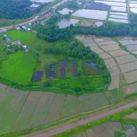 فروش زمین ۲۳۰۰۰متری|فروش زمین و ملک کلنگی|رشت, آزادگان|دیوار