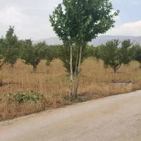 فروش باغ صنعت نفت دالین|فروش زمین و ملک کلنگی|همایجان, |دیوار