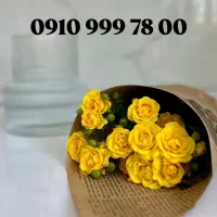 سیم کارت خشک و ثابت رند