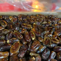 استخدام کارگر  خانم در کارگاه بسته بندی خرما