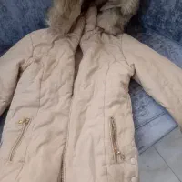 کت وپالتو|لباس|شاهین‌شهر, عطار|دیوار