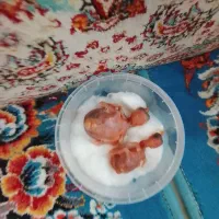 جوجه مینا شاه تخم 5روزه