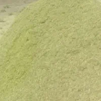 خارشترآماده تحویل جوین