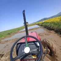 کل شالی زمین با تراکتور جفت