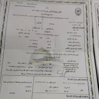 بزرگترین خرید و فروش فیش های حج تمتع و عمره مفرده|تور و چارتر|قائم‌شهر, |دیوار