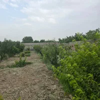 فروش و تهاتر زمین ۸۰۰۰ متری در یوسف اباد صیرفی|فروش زمین و ملک کلنگی|شهریار, یوسف آباد صیرفی|دیوار