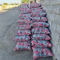 کالا خواب|رختخواب، بالش، پتو|منوجان, |دیوار