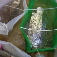 ماهی کپی|ماهی|قم, نوبهار|دیوار