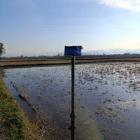 نقشه برداری شمیم UTM|خدمات پیشه و مهارت|فومن, |دیوار