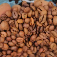 پخش عمده دانه قهوه انواع پودریجات و شکلات