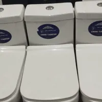 انواع توالت فرنگی موجود است