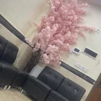 اجاره تمامی لاین های آرایشگری|اجارهٔ دفتر کار، اتاق اداری، مطب|مشهد, ولیعصر (شهرک غرب)|دیوار