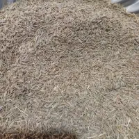 کرابیه فروشی|خوردنی و آشامیدنی|تربت جام, جلگه موسی آباد|دیوار