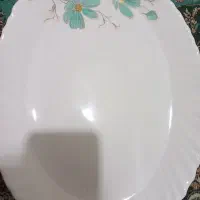 سرویس اکروپال نو بدون یکبار استفاده