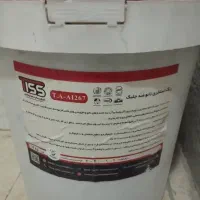 رنگ استخری نانوضدجلبک اکلرید۲۵کیلویی کرمانیان