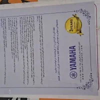 پیانو دیجیتال|پیانو، کیبورد، آکاردئون|زنجان, |دیوار