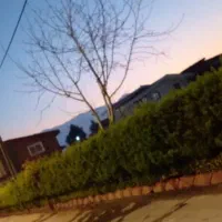 ۲۲۸متر زمین داخل بافت شهرکی در عباس آباد