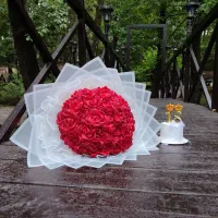 گل ربانی و دسته گل پروانه