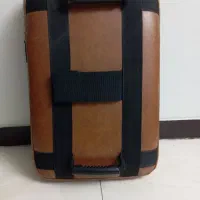 میت بالشتی