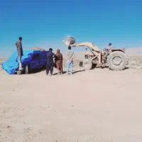 کود|خدمات باغبانی و درختکاری|کرمان, |دیوار