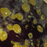 سبزی خورشتی