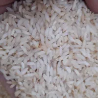 برنج عنبر درجه دو (زرده)|خوردنی و آشامیدنی|اهواز, کمپلو جنوبی|دیوار