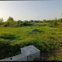 زمین در لشت نشا