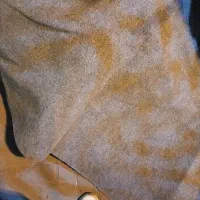 موکت درحد نو