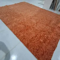 موکت پرزبلند پالاز|موکت|خرمآباد, |دیوار