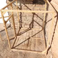 فروش قفسه چوبی|لوازم جانبی حیوانات|سرپل ذهاب, |دیوار