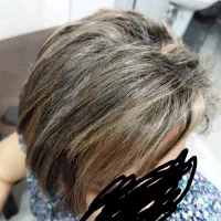 خدمات رنگ و لایت