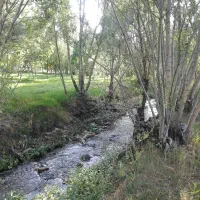 منزل ویلایی کنارچشمه وپیست اسکی|اجارهٔ خانه و ویلا|داران, |دیوار